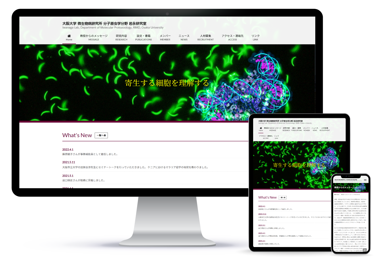 大阪大学 微生物病研究所 分子原虫学分野 岩永研究室