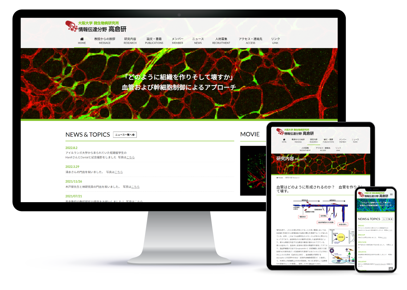 大阪大学 微生物病研究所 情報伝達分野 高倉研究室