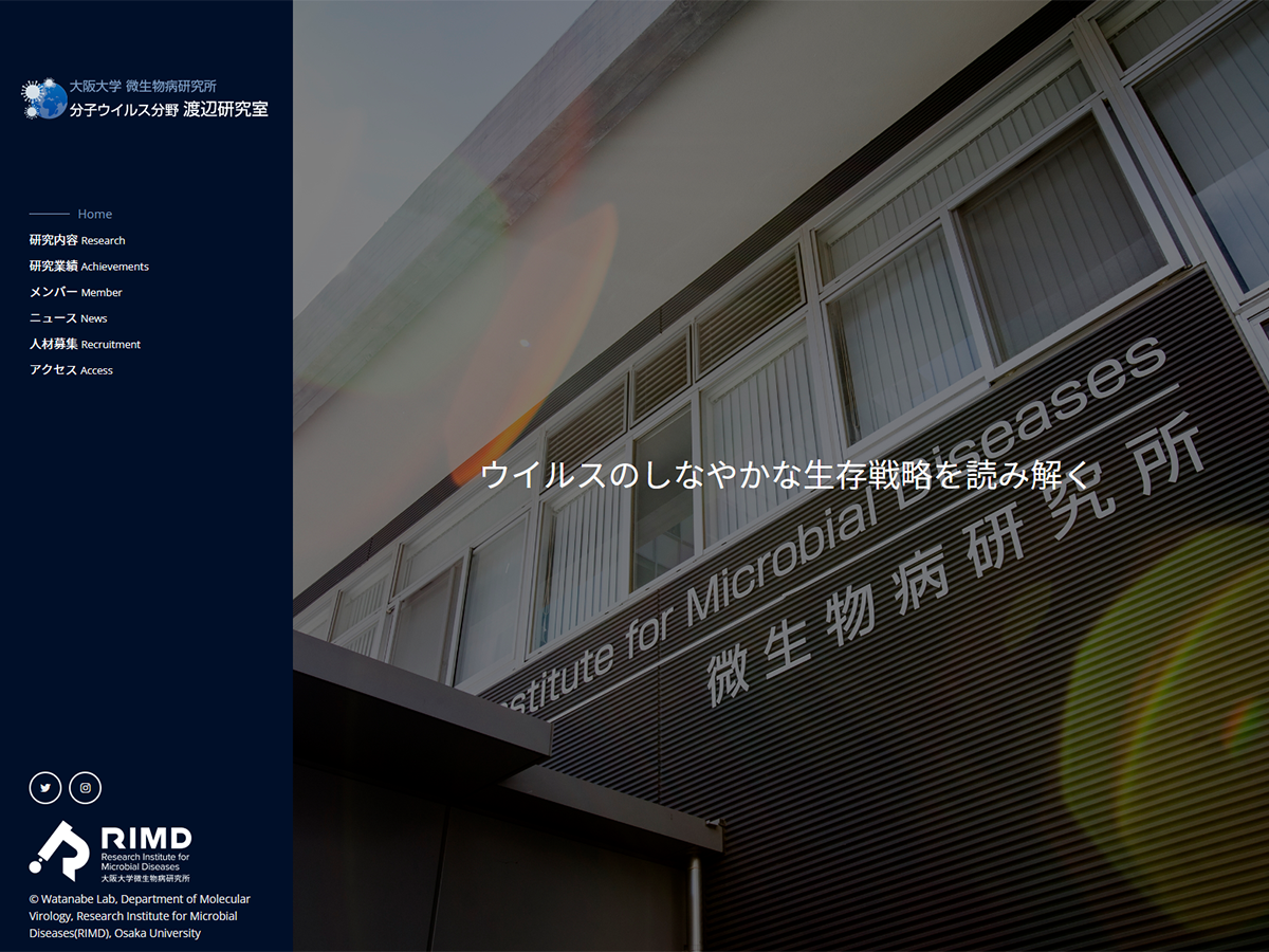 大阪大学 微生物病研究所 分子ウイルス分野 渡辺研究室のホームページ