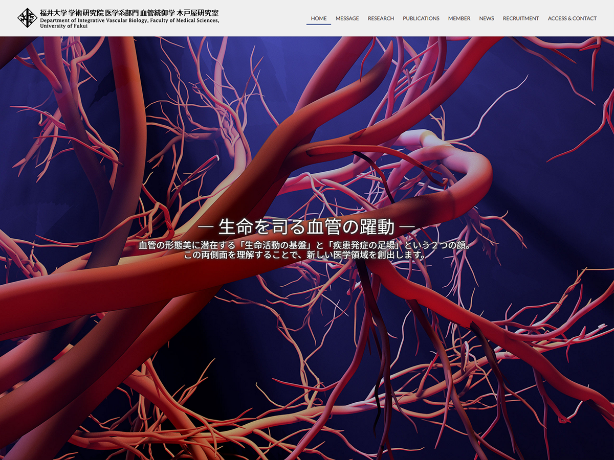 福井大学 学術研究院 医学系部門 血管統御学分野 木戸屋研究室のホームページ
