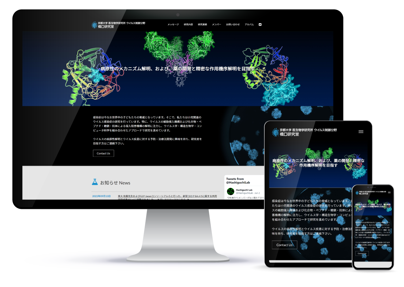 京都大学 医生物学研究所 ウイルス制御分野 橋口研究室