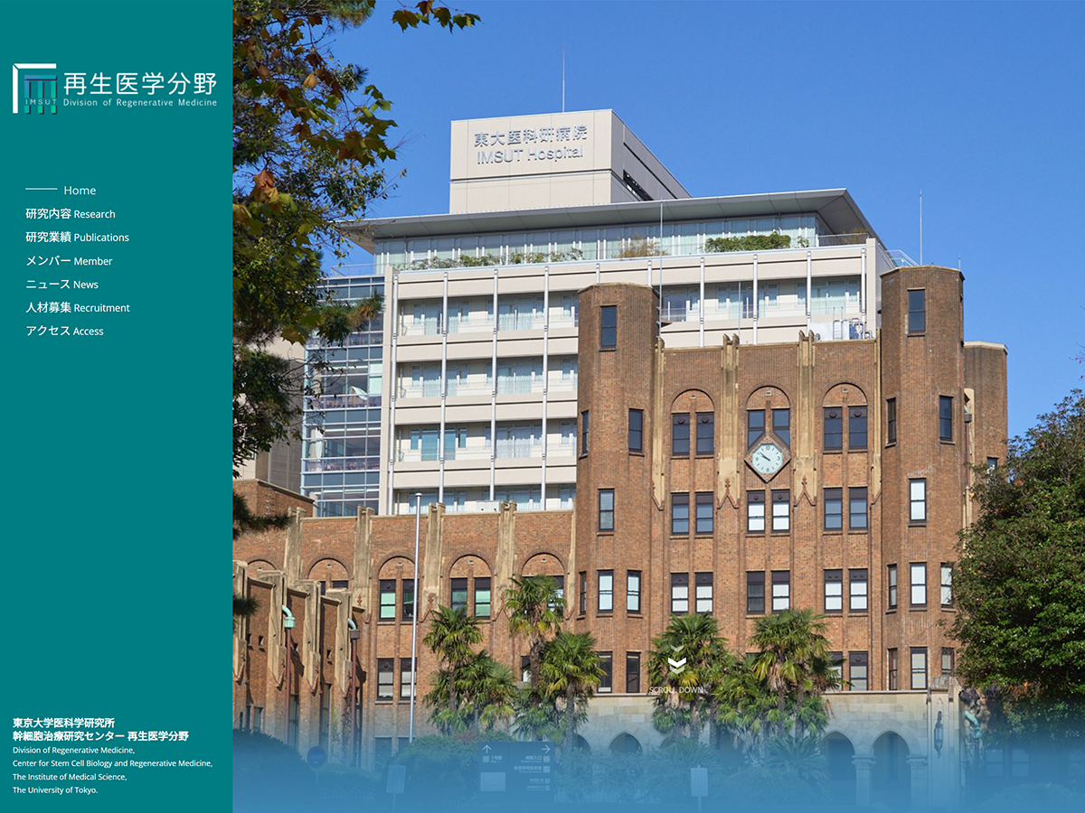 東京大学 医科学研究所 再生医学分野のホームページ
