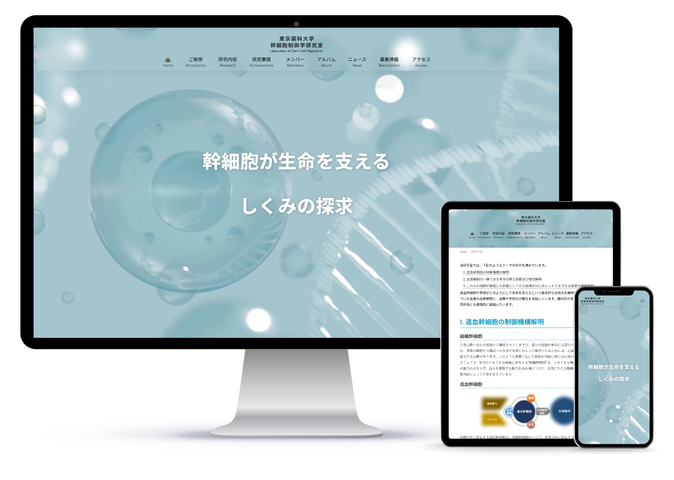東京薬科大学 幹細胞制御学研究室
