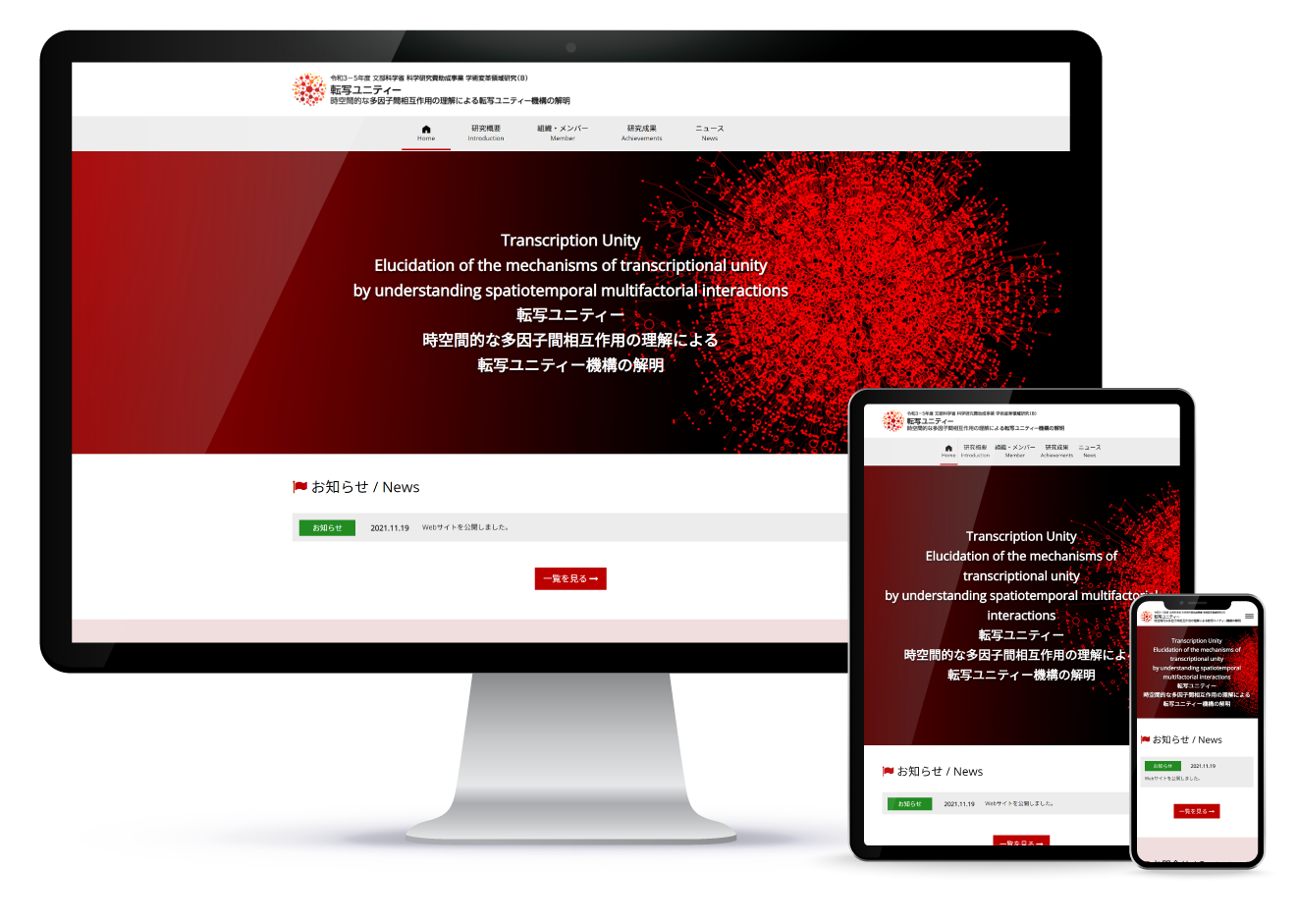 転写ユニティー 時空間的な多因子間相互作用の理解による転写ユニティー機構の解明